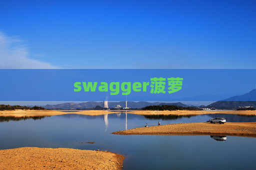 swagger菠萝